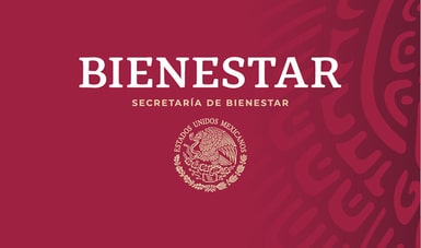 Licitaciones de la Secretaria del Bienestar